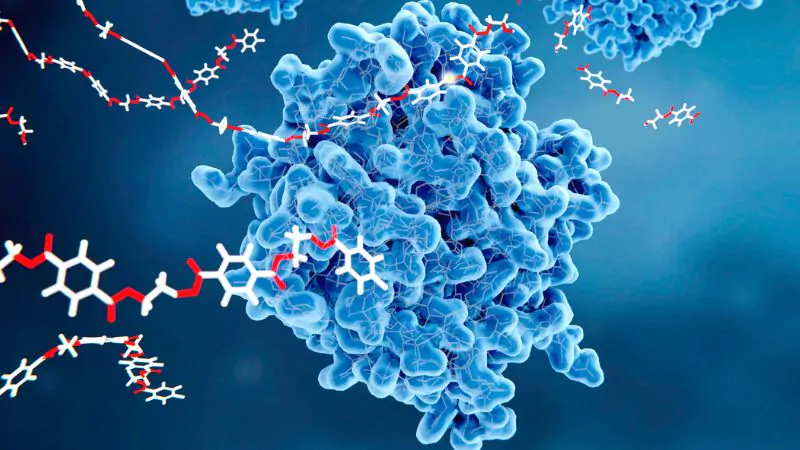 polyethylenterephthalat 2